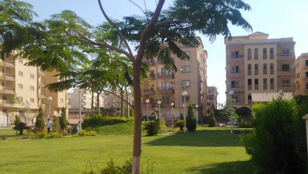 Green Yard