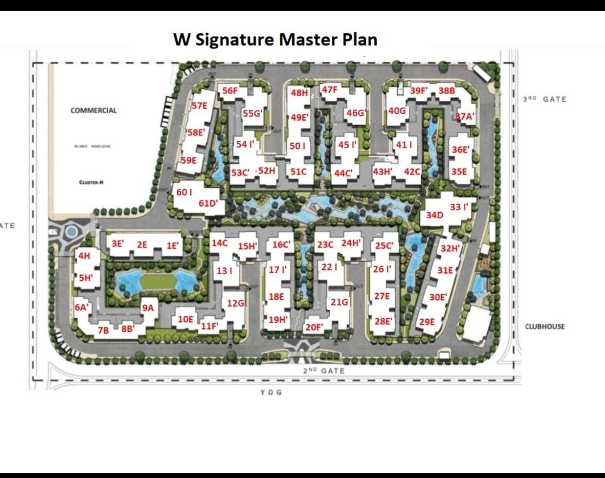 W signature الماستر بلان